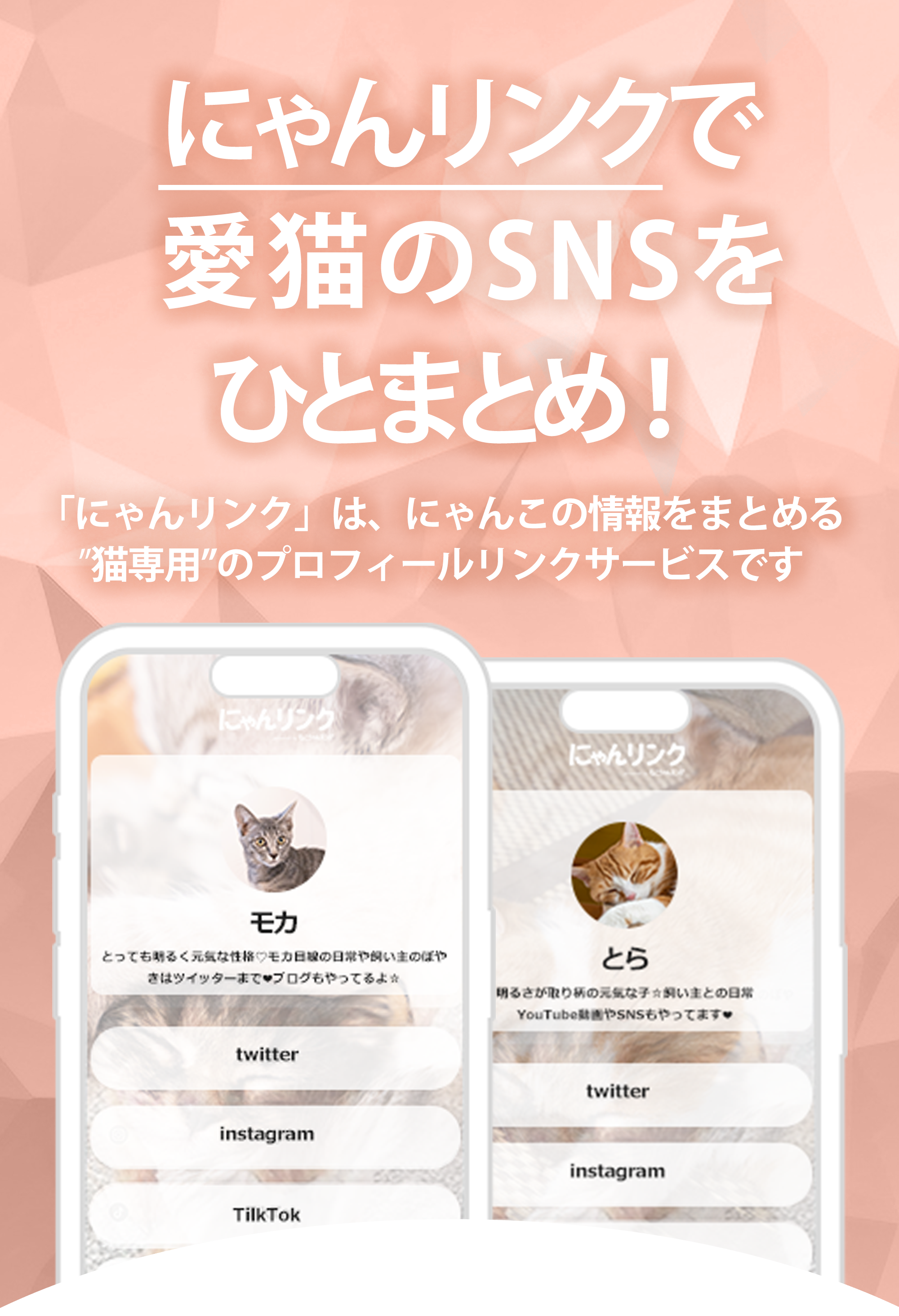 にゃんリンクで愛猫のSNSをひとまとめ！